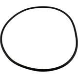 O-Ring, Waterway Crystal Water, Tank Body : 805-0000