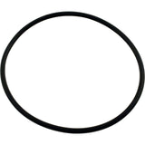 O-Ring, Waterway Serviceable Check Valve, Cover : 805-0239