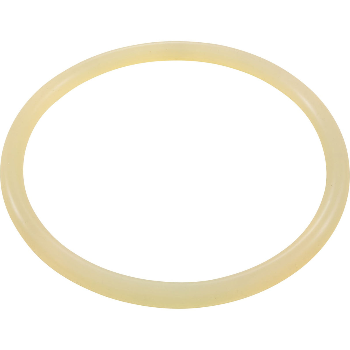 O-Ring, Buna-N, Astral Aster Filter, Lid : 7401700120