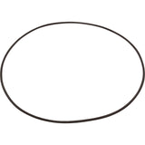 O-Ring, Buna-N, Astral, Rapidpool Filter, Collar : 722R2550040