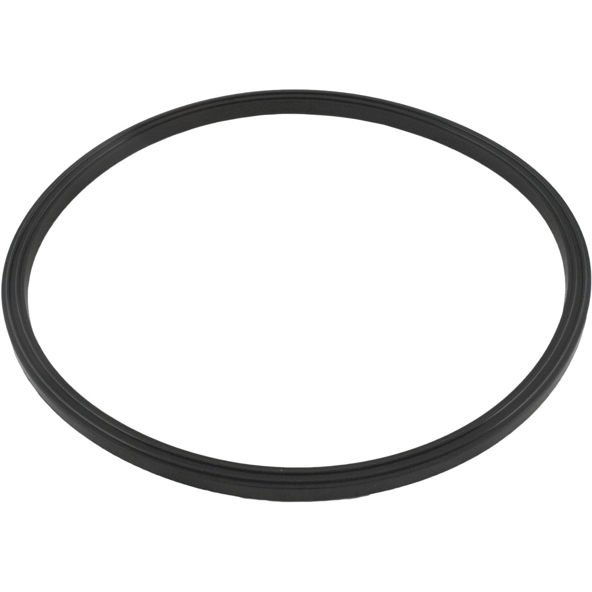 Quad Ring, Zodiac Jandy JS60-SM/JS100-SM, Tank Lid : R0487400