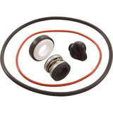 Seal Replacement Kit, Zodiac Polaris PB4SQ, w/ Drain Plug : R0734300