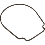 Gasket, Pentair Purex IntelliFlo VS, Seal Plate, Special ID/OD : 357100Z