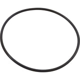 O-Ring, Pentair IntelliFloXF/IntelliProXF, Seal Plate : 351446