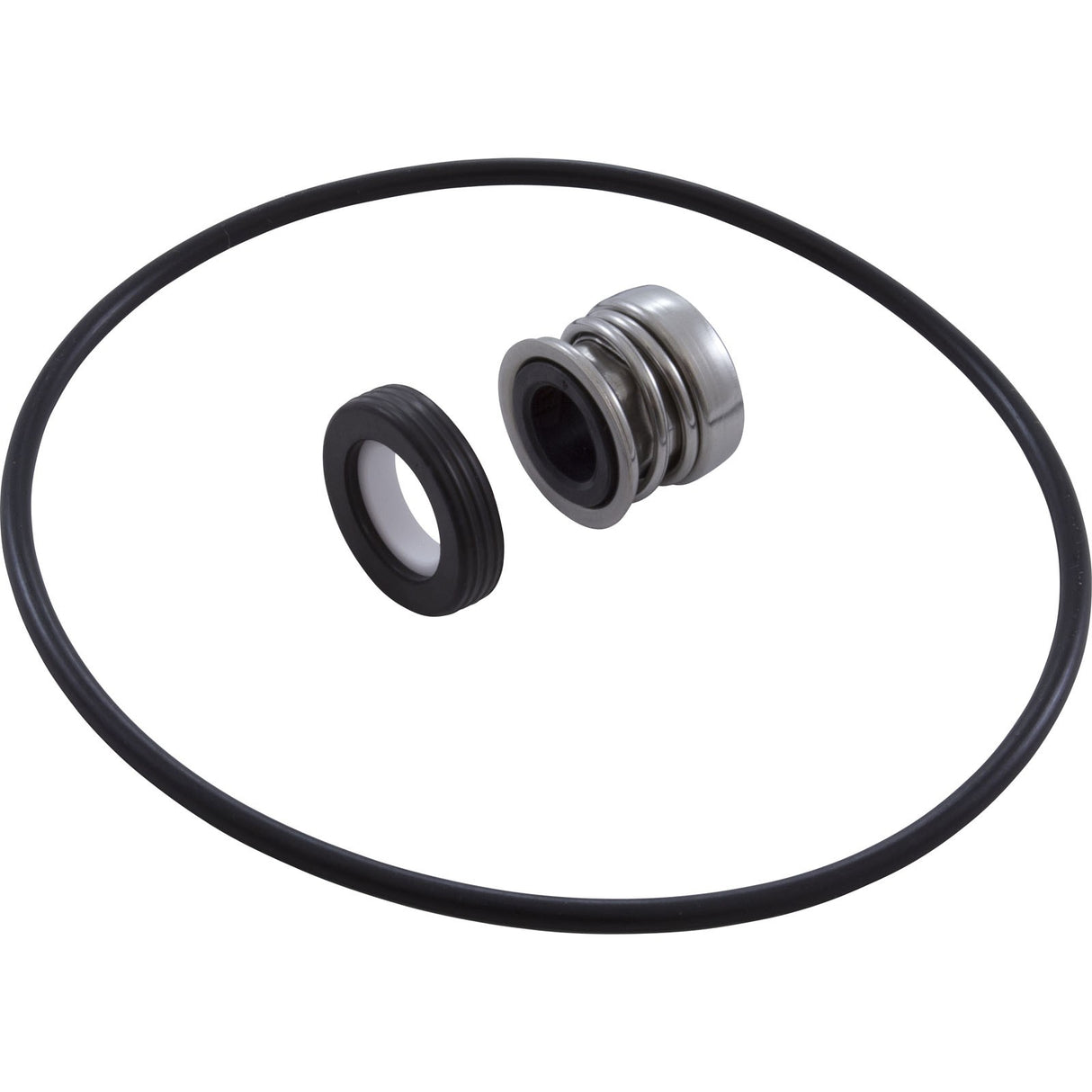 Shaft Seal and Pump Body O-Ring, Hayward VL Series, Kit : VLX4008