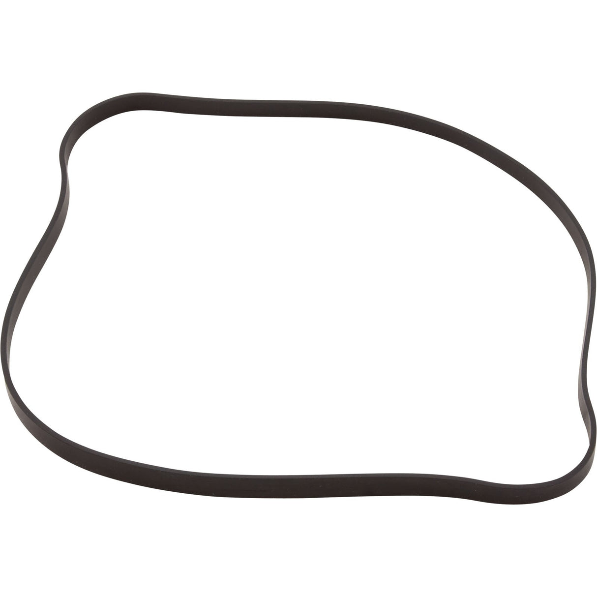Gasket, Hayward Max-Flo, Seal Plate, 6-1/2"ID, 6-5/8"OD : SPX1600T