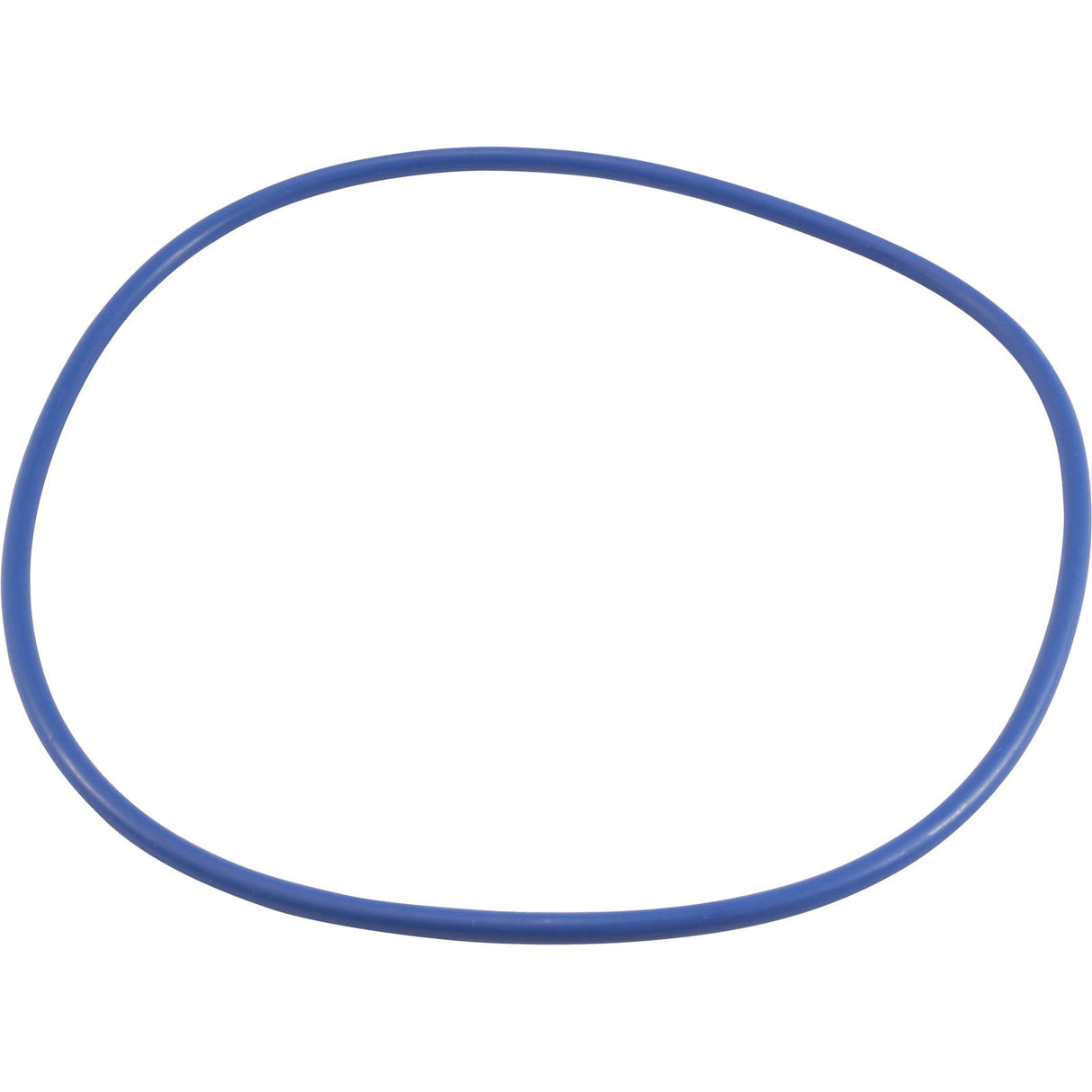O-Ring, Hayward EasyClear, Filter Cover : CX400G