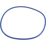 O-Ring, Hayward EasyClear, Filter Cover : CX400G