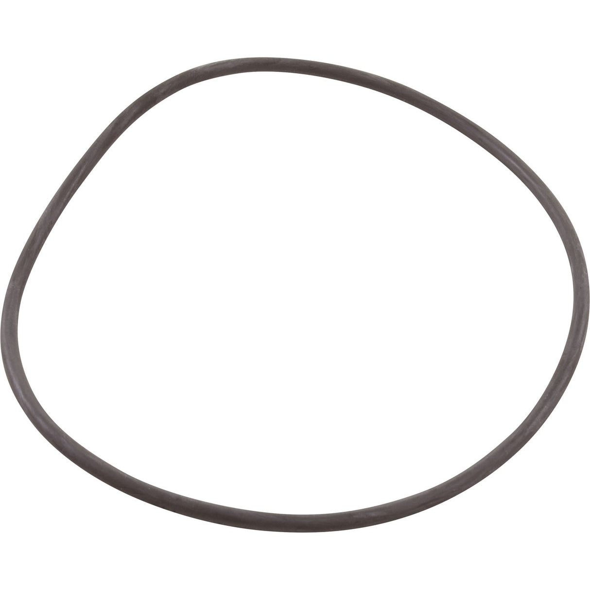 O-Ring, Astral Pump Strainer, Lid : 4405010437