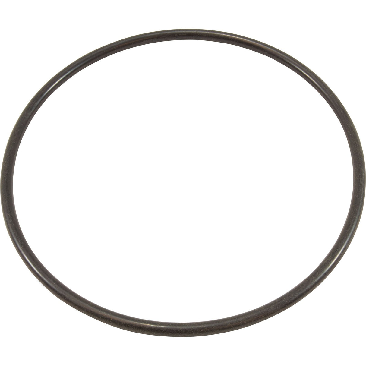 O-Ring, Waterco Hydrostorm Plus, Trap Lid : WC61214