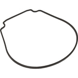 Gasket, Waterco HydroStar, Seal Plate : 634070
