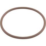 O-Ring, Viton, Zodiac Nature2 Fusion, Large Collar : R0586300