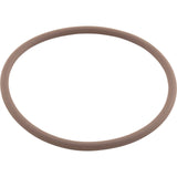 O-Ring, Viton, Zodiac Nature2 Fusion, Large Collar : R0586300