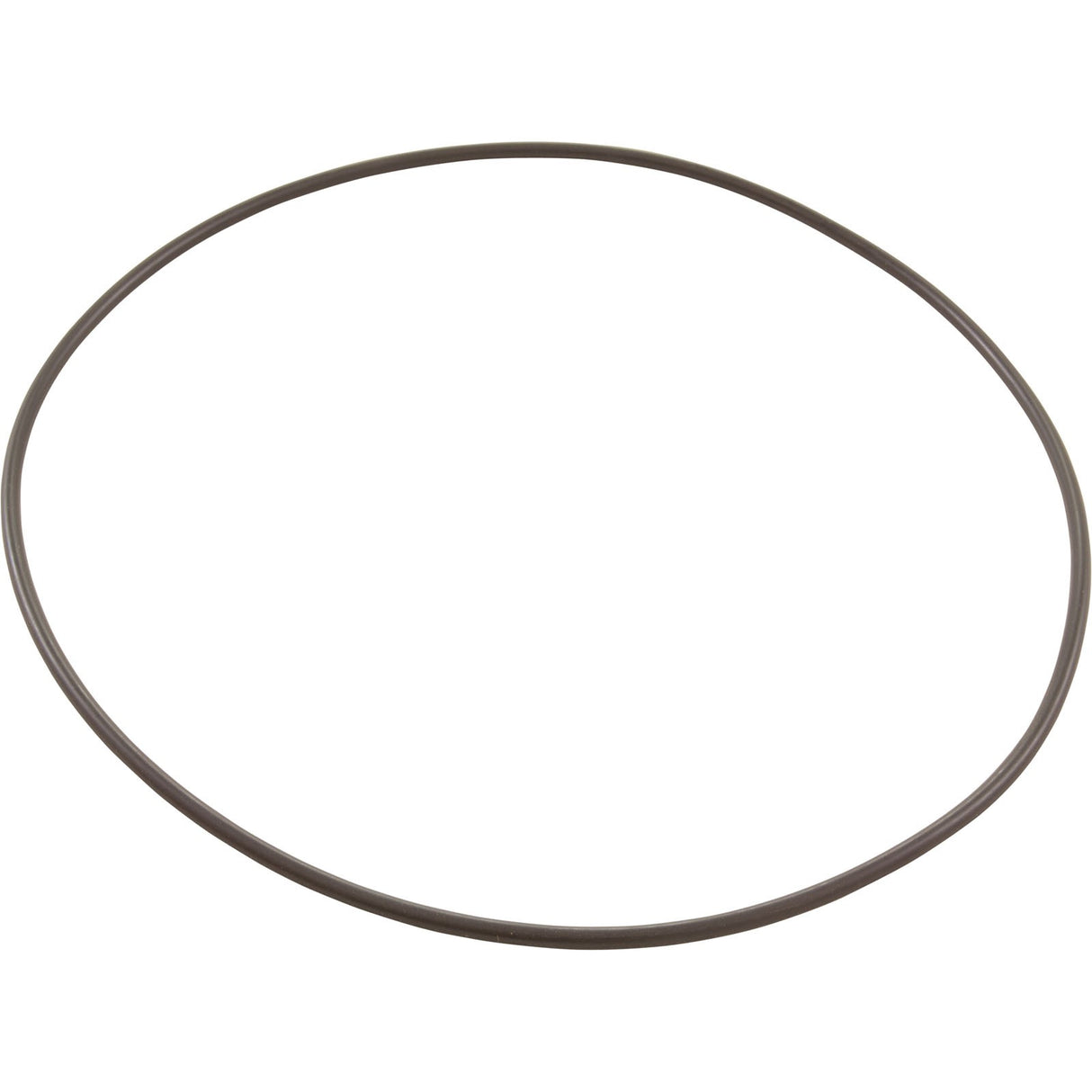 O-Ring, Pentair PacFab Bermuda, Body Float Valve : 516244