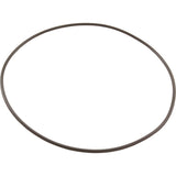 O-Ring, Pentair PacFab Bermuda, Body Float Valve : 516244