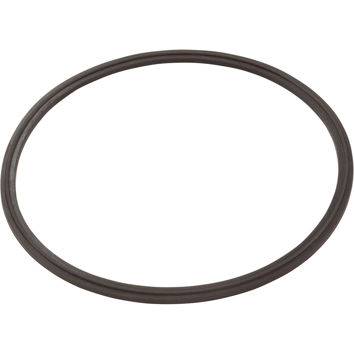 Leaf Catcher Seal, Zodiac Cyclonic Leaf Catcher : R0623300