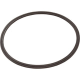 Leaf Catcher Seal, Zodiac Cyclonic Leaf Catcher : R0623300