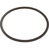 Leaf Catcher Seal, Zodiac Cyclonic Leaf Catcher : R0623300
