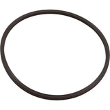 O-Ring, Paramount Leaf Canister, Lid : 005-152-0120-00