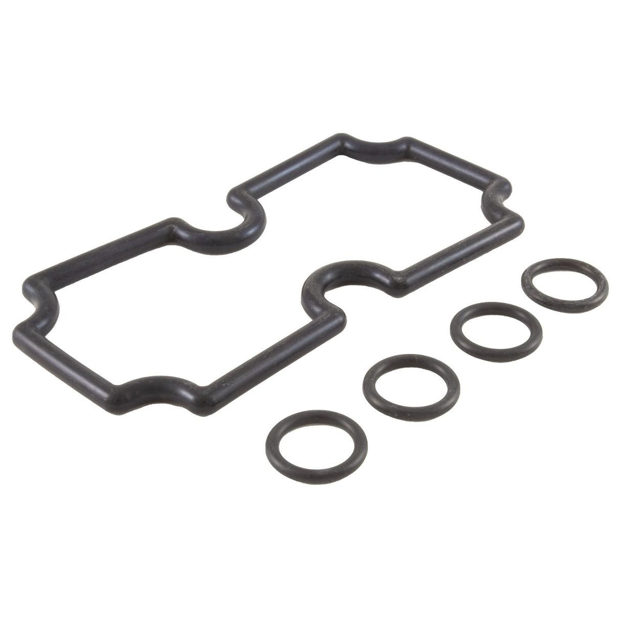 O-Ring Kit, Pentair MasterTemp 125, Coil/Tubesheet Sealing : 474973
