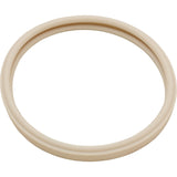 Gasket, Pentair AmerLite, Light Lens, 8-3/8" : 79101600Z