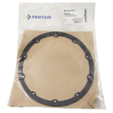 Gasket, Pentair QuickNiche, 10-Hole : 630025Z