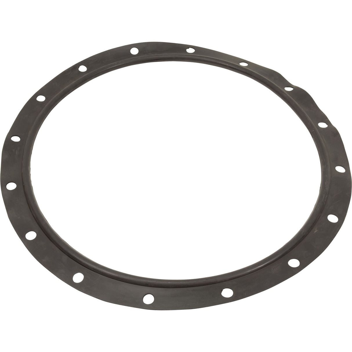 Gasket, Lid, Astral, Vert Filters 47"/55"/63"/71"/79"/93" : 723R4140120