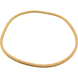 Gasket, American Prod Separtaion Tank, Lid, Generic :