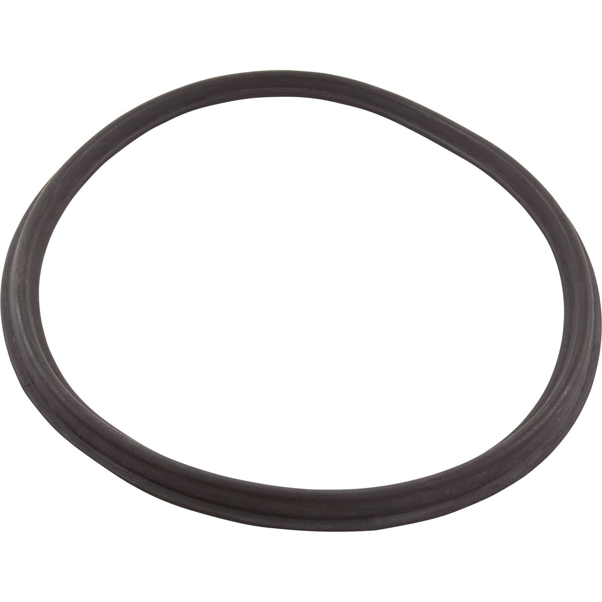 Gasket, Harmsco BF55C/105SC/155SC, Tank Lid, Generic :