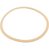 Gasket, Sta-Rite CK Pump, Seal Plate, Generic :