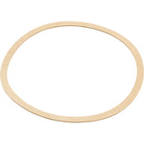 Gasket, Sta-Rite CK Pump, Seal Plate, Generic :