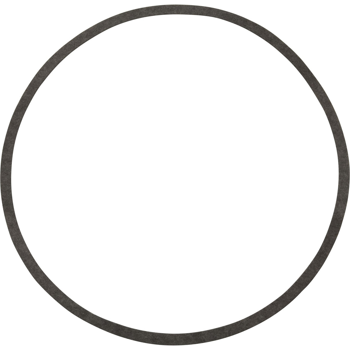 Gasket, Sta-Rite N20-39, Pump, G-52 : G-52