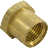 Insert Nut, Anthony Apollo DE Filter Shaft, 0.5", Brass : V34-121