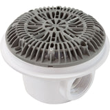 Hw Gunite Pool Main Drain (2In Thread So, 2In Thread Bo) Gra : 25519-001-000