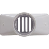 Gutter Drain, Pentair 2.5" x 6", w/Grate, White : 542039