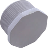 Plug, Pentair American Products Main Drain, 1-1/2" : 51001900