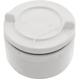 Hydrostatic Relief Valve, Waterway, 2" mpt, White : 600-2140