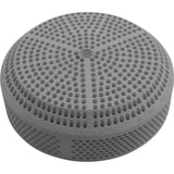 Suction Cover, CMP 170 GPM Suction, 4-7/8"fd, Graphite Gray : 25201-037-000