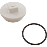 Plug, Main Drain, 2", Gunite : 25525-000-000