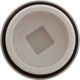 Plug, Main Drain, 2", Gunite : 25525-000-000