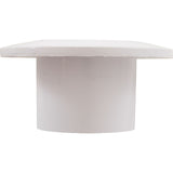 Wall Fitting, Pentair, 2"s Body, Insider, White : 542423
