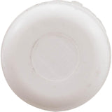Plug, Waterway, 1/2"spg  (Bagged) : 715-0000B