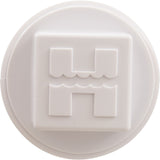 Plug, Hayward, 1-1/2" Male Pipe Thread, Plastic : SPX1051Z1