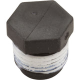 Plug, 1/2" Pipe Taped : WC78-39T