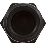 Plug, 1/2" Pipe Taped : WC78-39T
