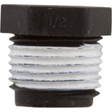 Plug, 1/2" Pipe Taped : WC78-39T