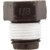 Pipe Plg 1/8" Taped : WC78-41T