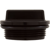 Plug, Hayward, w/O-Ring, 1-1/2" Thd, Black : SP1022CBLK
