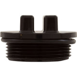 Plug, Hayward, w/O-Ring, 1-1/2" Thd, Black : SP1022CBLK