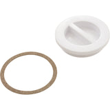 Plug, Hayward, Flush Inlet Fitting, 1-1/2" : SP1022B